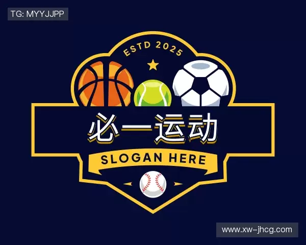 介绍B体育官网